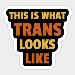 This is what Trans Looks Like, Transgender Shirt Sticker